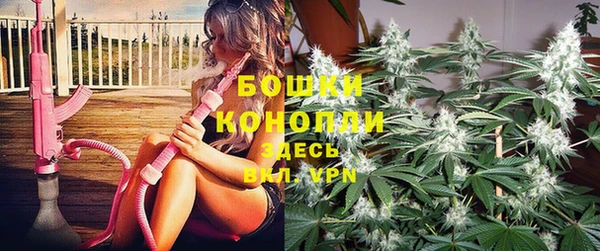 каннабис Покачи