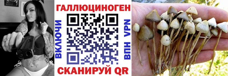 Псилоцибиновые грибы GOLDEN TEACHER Чухлома