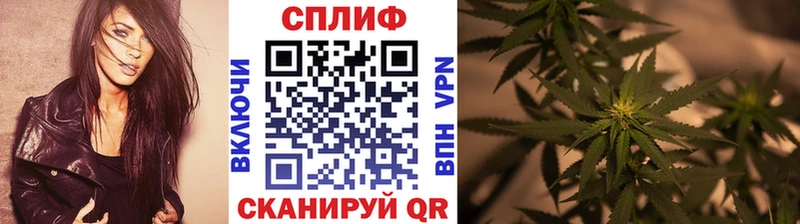 Бошки Шишки MAZAR  Чухлома 